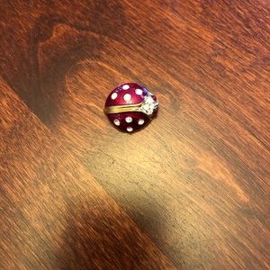 Ladybug Pin